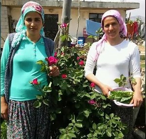 Şalvarlı türbanlı hatunlar
