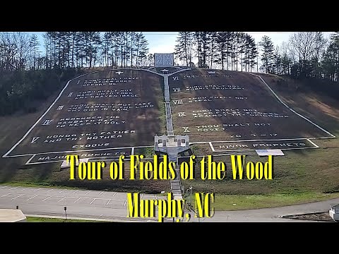 A Tour of Fields of the Wood
