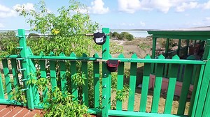 Bone Fishing in the Southern Bahamas