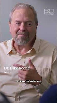 How dementia appears in dogs #shorts