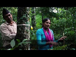 FSC and Ecosystem Services