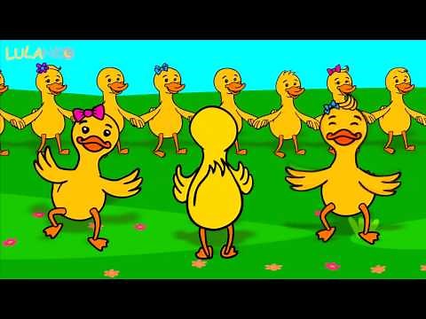 Piosenka dla dzieci Kaczuszki