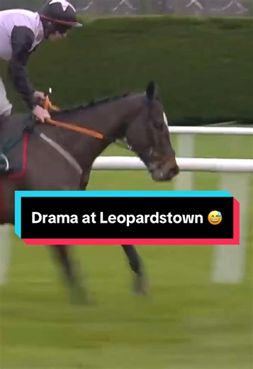 Skylight Hustle Triumphs in Grade 1 Future Champions Novice Hurdle