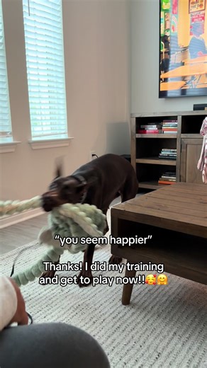 The Joy of Being a Good Kiwi: Embracing Happiness