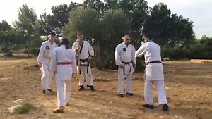 HAPKIDO Cane technique by Master Andrés Roig | World Hapkido