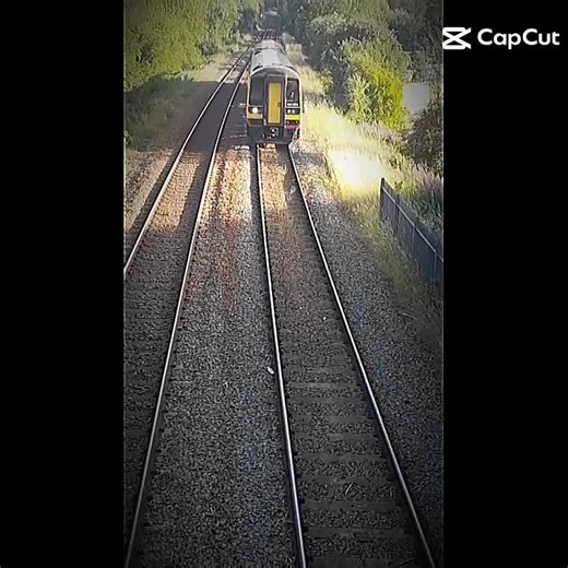 Trainspottercai on TikTok