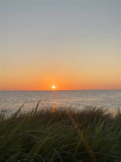 Canoe & Trail Adventures on Reels