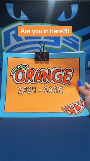 Orange Rays Team Reveals: Understanding Stingray Allstars Orange
