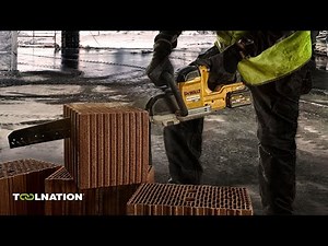 Dewalt DWE396 Alligator saw