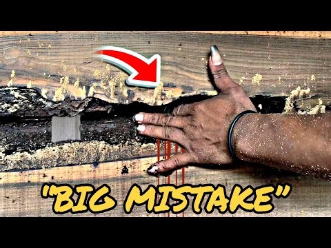 I Almost Lost My Hand Cutting This Log (You Won’t Believe What Was Inside)