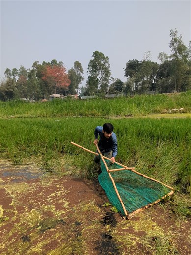 Effective Eel Fishing Techniques in Fresh Water