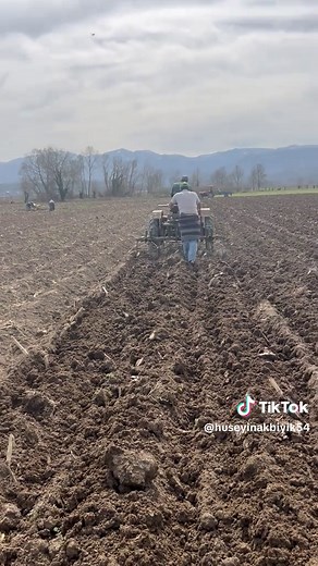 #AKBIYIKLARTARIM #sakarya #erenler #bekirpaşa #pony #massey harris #keşfetteyizzz #keşfet #fyp #fupシ #fupage #👑 @Lütfü Akbıyık #@user2710759817189 #@mustafaa 37 #@Güven