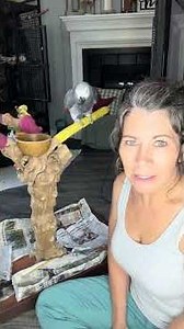 Story time with Einstein Answering one of my most asked questions