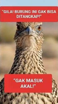 IS THIS THE FASTEST BIRD ON LAND?! Roadrunner Outspeeds Snakes & Lizards | Nature’s Speed Machine