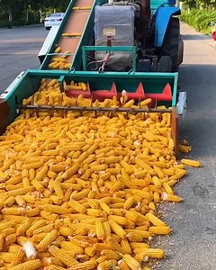 What a useful corn machine! | Handy Dandy
