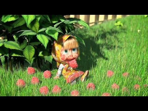 Cô bé masha và chú gấu xiếc | Cô bé siêu quậy và chú gấu xiếc | Masha thu hoạch hoa quả