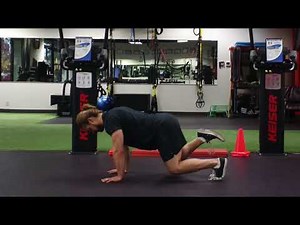 Single Leg Bear Hold