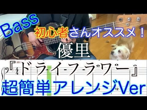 【Bass初心者さんオススメ！】優里 /ドライフラワー【Bass簡単アレンジVer】５線譜&Tab譜付き