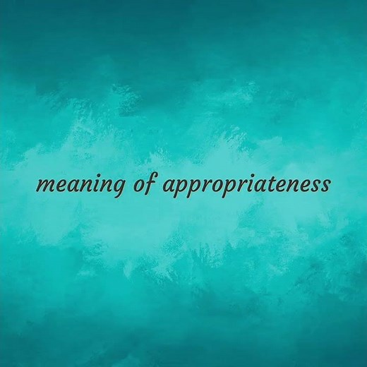 Appropriateness | meaning of Appropriateness