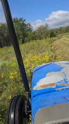 New Holland TN 55 Bush-Hogging Overgrown Field #tractor #mowing #asmr