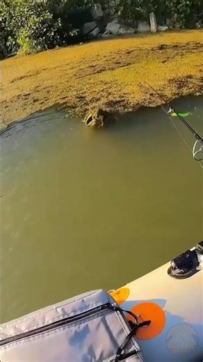 The Strike That Shocked Everyone Watching 😱💥