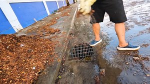 8.7K views · 175 reactions | Storm Drain Solutions Unclogging Streets to Combat Flooding! | Mowing The Grass for free | Facebook
