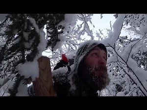 Hunting in wild Siberia for furs and grouse | The best moments