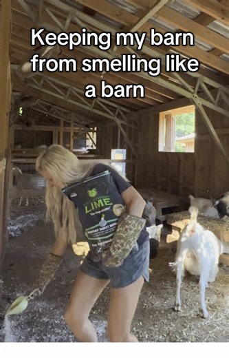 Keeping My Barn Smelling Fresh and Clean