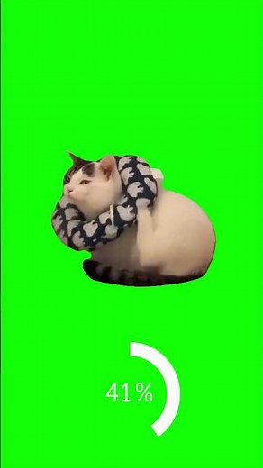 Cat Loading Green Screen