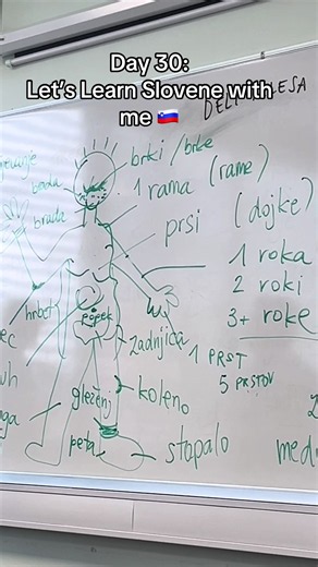 Day 30: Learning the body parts 👀👅👄🦷🧠👣👃👂🦶#foryoupage❤️❤️ #learnontiktok #slovenian #slovenija #language