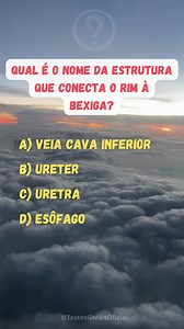 Quiz de Conhecimentos Gerais. #top #perguntaserespostas #trend #quiz #conhecimentosgerais #conhecimento | Testes Gerais