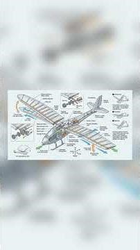 The Aircraft That Flies Like a Bird (And Fools Real Ones) #Shorts