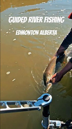 Guided River Fishing in Edmonton Alberta #guidedfishing #riverfishing #northsaskatchewanriver #yeg