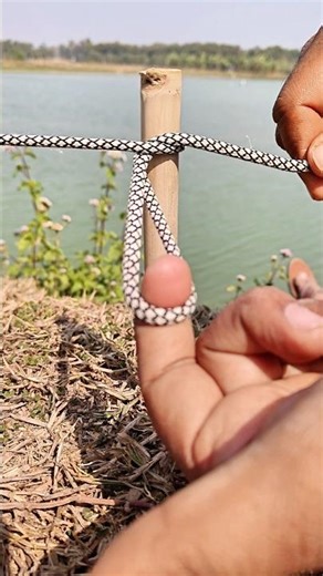 Easy Camping Knot Everyone Should Know 👍👍#shorts #knotting #lifehack