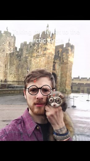 🥶❄️🚐ferret going crazy on an adventure trip of a life time - pure road trip vibes! 🚐☃️🥶 #ferretsoftiktok #roadtrip #funnypets