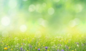 Spring Boot 3.0 setzt auf Spring Framework 6.0 und Java 17