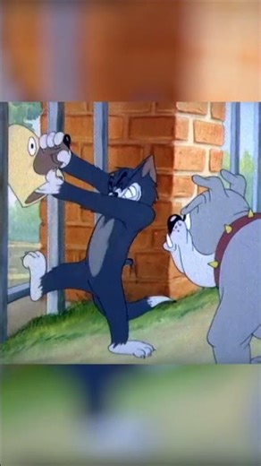 Haha, Spike you Fool #TomandJerry #ClassicCartoons #Cartoonito #shorts
