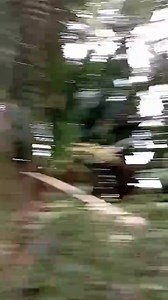 34K views · 448 reactions | #maurice #decouverte  | Insider.mu | Facebook