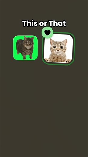 cat tutorial for beginners 😀#cat #trending