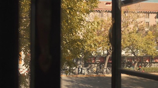 Discover the Most Beautiful Moments in Beijing