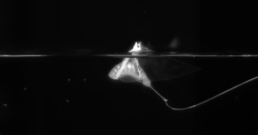 Robotic manta ray uses a simpler, more efficient design to swim even faster