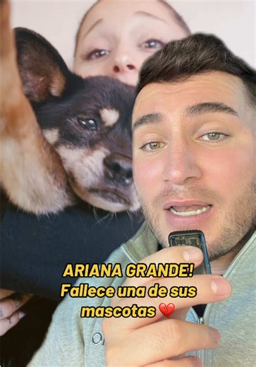 Fallece una de las mascotas de Ariana Grande💔 #arianagrande #ariana #news #soyeddynieblas