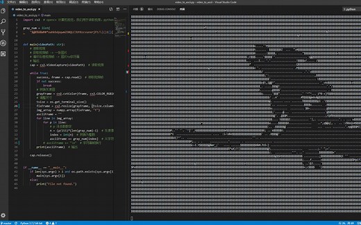 【Python小玩意儿】视频转字符动画