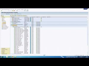 Logging Into SAP BW and RSA1 Overview