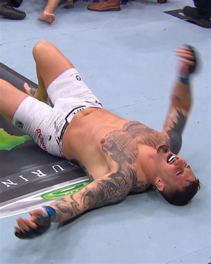 294K views · 2.4K reactions | Hunting for the finish at all times  Here's some of the best finishes from #UFC321 fighters  [ 2pmET on ESPN PPV | : UFC.ac/47nGWUe | #InAbuDhabi | Abu Dhabi Calendar | Visit Abu Dhabi ] | UFC | Facebook