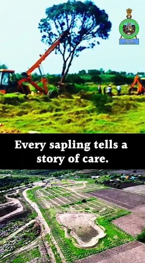 How Mining Land Is Restored | IBM’s Reclamation and Rehabilitation Work