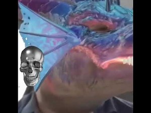 Wait wait wait wait what the hell original meme