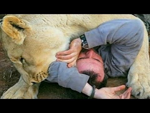 Documentario Nat Geo Wild, Attacchi Di Leoni e Animali Feroci