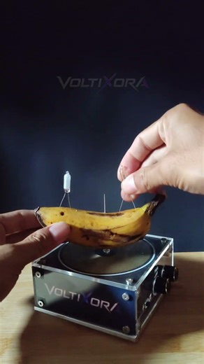 What happens if electricity hits a fruit