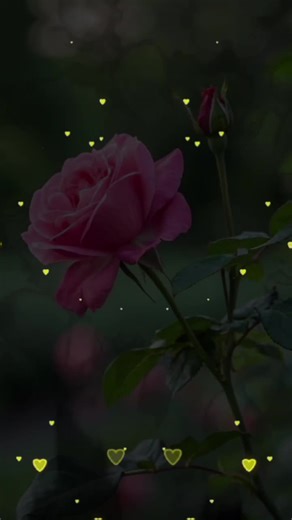 Unlocking Your Account: A Step-by-Step Guide